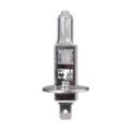 H1 12V 100W P14,5s STANDARD ΑΛΟΓΟΝΟΥ ΚΟΥΤΙ 1ΤΕΜ. M-TECH